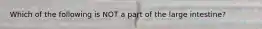 Which of the following is NOT a part of the large intestine?