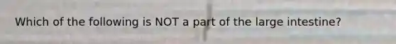 Which of the following is NOT a part of the large intestine?