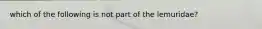 which of the following is not part of the lemuridae?