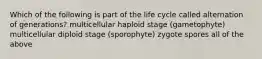 Which of the following is part of the life cycle called alternation of generations? multicellular haploid stage (gametophyte) multicellular diploid stage (sporophyte) zygote spores all of the above