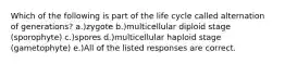 Which of the following is part of the life cycle called alternation of generations? a.)zygote b.)multicellular diploid stage (sporophyte) c.)spores d.)multicellular haploid stage (gametophyte) e.)All of the listed responses are correct.