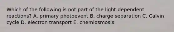 Which of the following is not part of the light-dependent reactions? A. primary photoevent B. charge separation C. Calvin cycle D. electron transport E. chemiosmosis