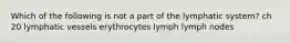 Which of the following is not a part of the lymphatic system? ch 20 lymphatic vessels erythrocytes lymph lymph nodes