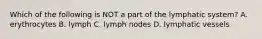 Which of the following is NOT a part of the lymphatic system? A. erythrocytes B. lymph C. lymph nodes D. lymphatic vessels