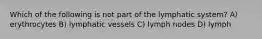 Which of the following is not part of the lymphatic system? A) erythrocytes B) lymphatic vessels C) lymph nodes D) lymph