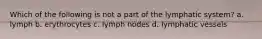 Which of the following is not a part of the lymphatic system? a. lymph b. erythrocytes c. lymph nodes d. lymphatic vessels