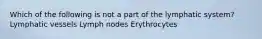 Which of the following is not a part of the lymphatic system? Lymphatic vessels Lymph nodes Erythrocytes