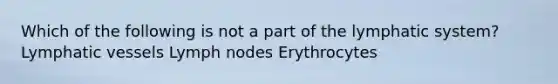 Which of the following is not a part of the lymphatic system? <a href='https://www.questionai.com/knowledge/ki6sUebkzn-lymphatic-vessels' class='anchor-knowledge'>lymphatic vessels</a> Lymph nodes Erythrocytes