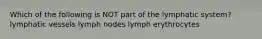 Which of the following is NOT part of the lymphatic system? lymphatic vessels lymph nodes lymph erythrocytes