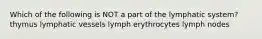 Which of the following is NOT a part of the lymphatic system? thymus lymphatic vessels lymph erythrocytes lymph nodes