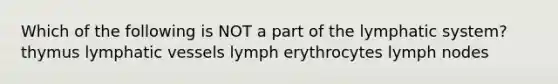 Which of the following is NOT a part of the lymphatic system? thymus lymphatic vessels lymph erythrocytes lymph nodes