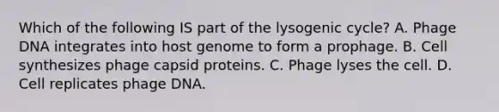 Which of the following IS part of the lysogenic cycle? A. Phage DNA integrates into host genome to form a prophage. B. Cell synthesizes phage capsid proteins. C. Phage lyses the cell. D. Cell replicates phage DNA.