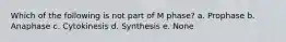 Which of the following is not part of M phase? a. Prophase b. Anaphase c. Cytokinesis d. Synthesis e. None