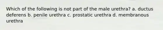 Which of the following is not part of the male urethra? a. ductus deferens b. penile urethra c. prostatic urethra d. membranous urethra