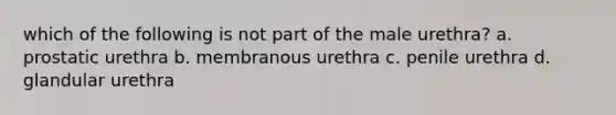 which of the following is not part of the male urethra? a. prostatic urethra b. membranous urethra c. penile urethra d. glandular urethra