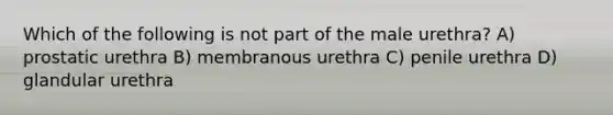 Which of the following is not part of the male urethra? A) prostatic urethra B) membranous urethra C) penile urethra D) glandular urethra