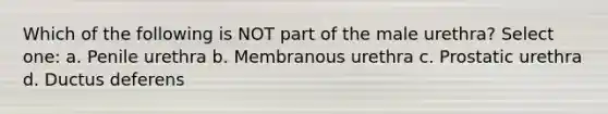 Which of the following is NOT part of the male urethra? Select one: a. Penile urethra b. Membranous urethra c. Prostatic urethra d. Ductus deferens