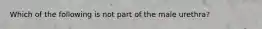 Which of the following is not part of the male urethra?