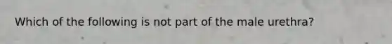 Which of the following is not part of the male urethra?