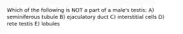Which of the following is NOT a part of a male's testis: A) seminiferous tubule B) ejaculatory duct C) interstitial cells D) rete testis E) lobules