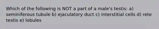 Which of the following is NOT a part of a male's testis: a) seminiferous tubule b) ejaculatory duct c) interstitial cells d) rete testis e) lobules