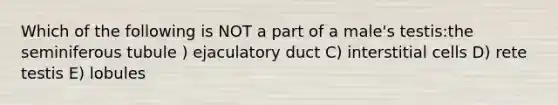 Which of the following is NOT a part of a male's testis:the seminiferous tubule ) ejaculatory duct C) interstitial cells D) rete testis E) lobules