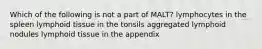 Which of the following is not a part of MALT? lymphocytes in the spleen lymphoid tissue in the tonsils aggregated lymphoid nodules lymphoid tissue in the appendix