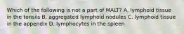 Which of the following is not a part of MALT? A. lymphoid tissue in the tonsils B. aggregated lymphoid nodules C. lymphoid tissue in the appendix D. lymphocytes in the spleen