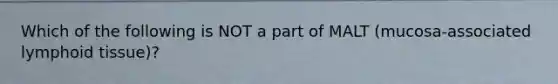 Which of the following is NOT a part of MALT (mucosa-associated lymphoid tissue)?