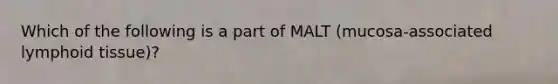 Which of the following is a part of MALT (mucosa-associated lymphoid tissue)?