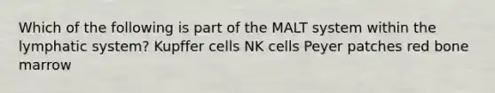 Which of the following is part of the MALT system within the lymphatic system? Kupffer cells NK cells Peyer patches red bone marrow