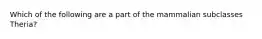 Which of the following are a part of the mammalian subclasses Theria?