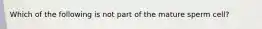 Which of the following is not part of the mature sperm cell?