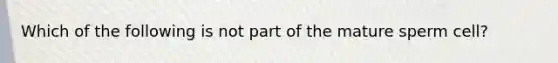 Which of the following is not part of the mature sperm cell?