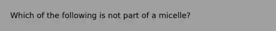 Which of the following is not part of a micelle?