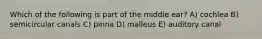 Which of the following is part of the middle ear? A) cochlea B) semicircular canals C) pinna D) malleus E) auditory canal
