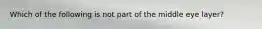 Which of the following is not part of the middle eye layer?