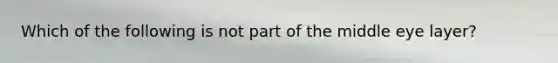 Which of the following is not part of the middle eye layer?