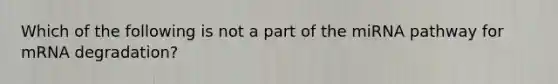Which of the following is not a part of the miRNA pathway for mRNA degradation?