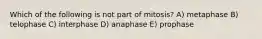 Which of the following is not part of mitosis? A) metaphase B) telophase C) interphase D) anaphase E) prophase