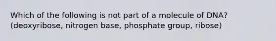 Which of the following is not part of a molecule of DNA? (deoxyribose, nitrogen base, phosphate group, ribose)