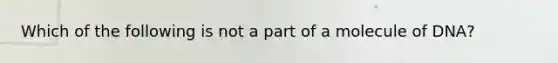 Which of the following is not a part of a molecule of DNA?