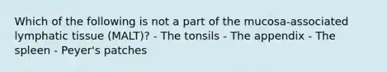 Which of the following is not a part of the mucosa-associated lymphatic tissue (MALT)? - The tonsils - The appendix - The spleen - Peyer's patches