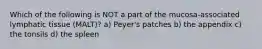 Which of the following is NOT a part of the mucosa-associated lymphatic tissue (MALT)? a) Peyer's patches b) the appendix c) the tonsils d) the spleen