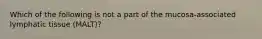 Which of the following is not a part of the mucosa-associated lymphatic tissue (MALT)?