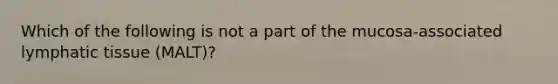 Which of the following is not a part of the mucosa-associated lymphatic tissue (MALT)?