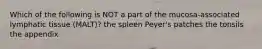 Which of the following is NOT a part of the mucosa-associated lymphatic tissue (MALT)? the spleen Peyer's patches the tonsils the appendix