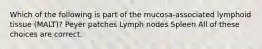 Which of the following is part of the mucosa-associated lymphoid tissue (MALT)? Peyer patches Lymph nodes Spleen All of these choices are correct.