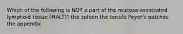 Which of the following is NOT a part of the mucosa-associated lymphoid tissue (MALT)? the spleen the tonsils Peyer's patches the appendix