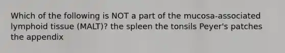 Which of the following is NOT a part of the mucosa-associated lymphoid tissue (MALT)? the spleen the tonsils Peyer's patches the appendix